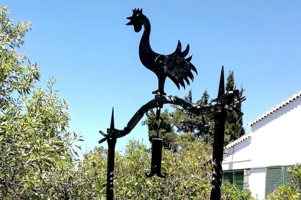 וגה דה סן מטאו Casa La Veguetilla En San Mateo מראה חיצוני תמונה