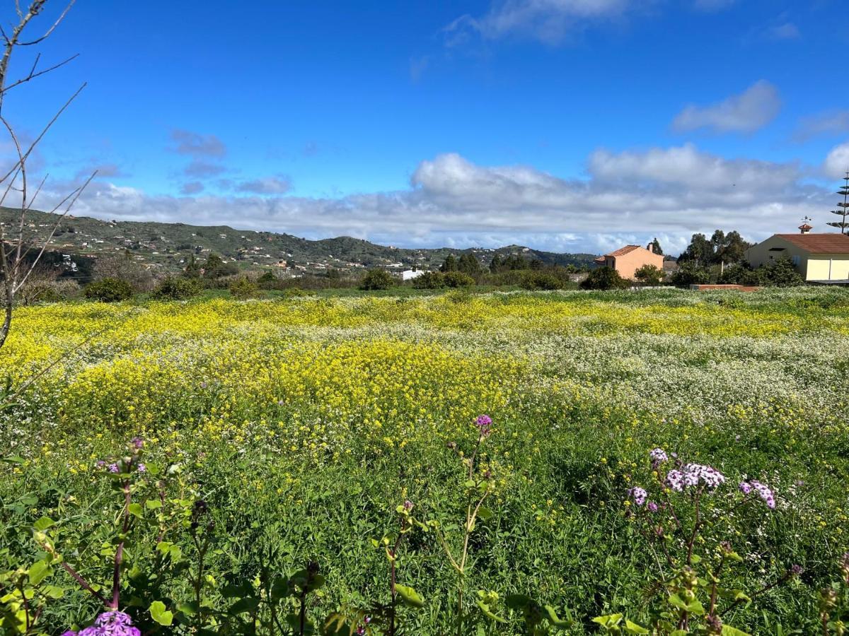 וגה דה סן מטאו Casa La Veguetilla En San Mateo מראה חיצוני תמונה